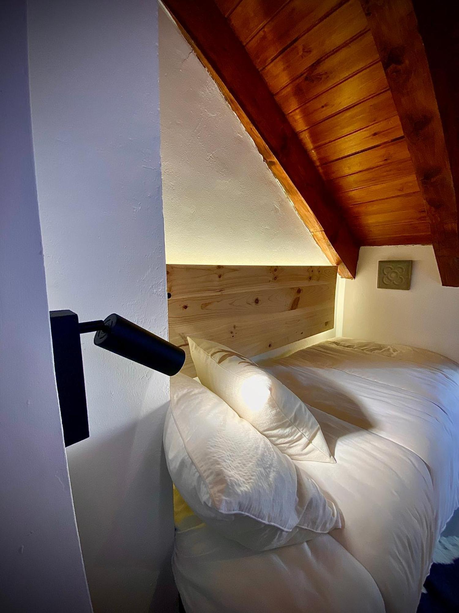 CAL DOMÈNEC - Dúplex lujo en Rialp  Extérieur photo