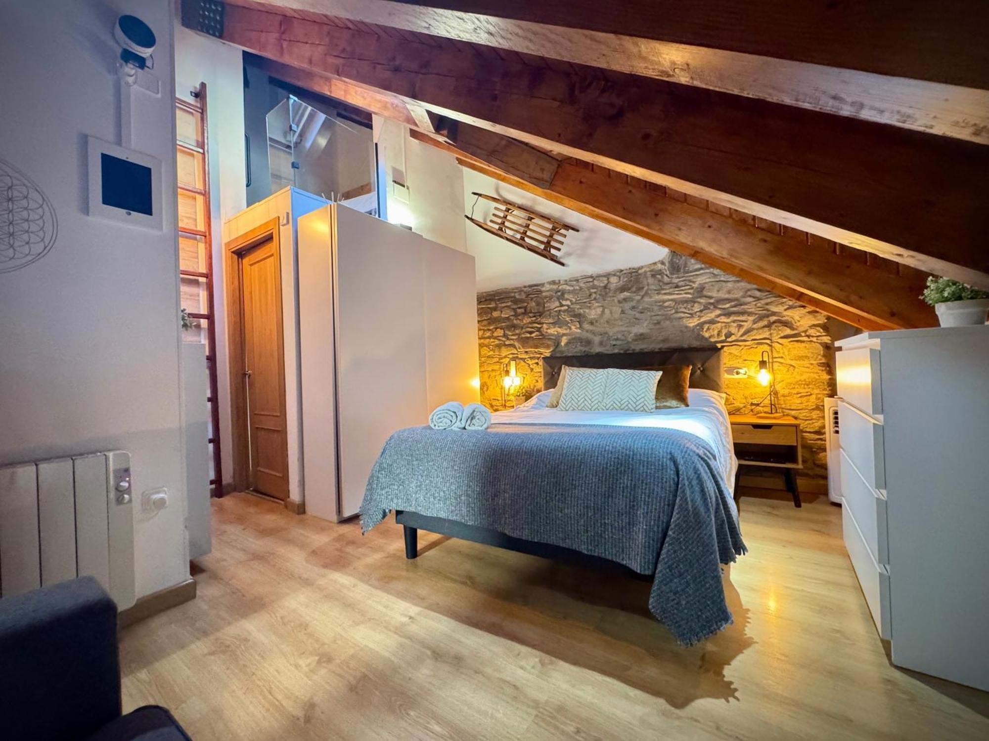 CAL DOMÈNEC - Dúplex lujo en Rialp  Extérieur photo